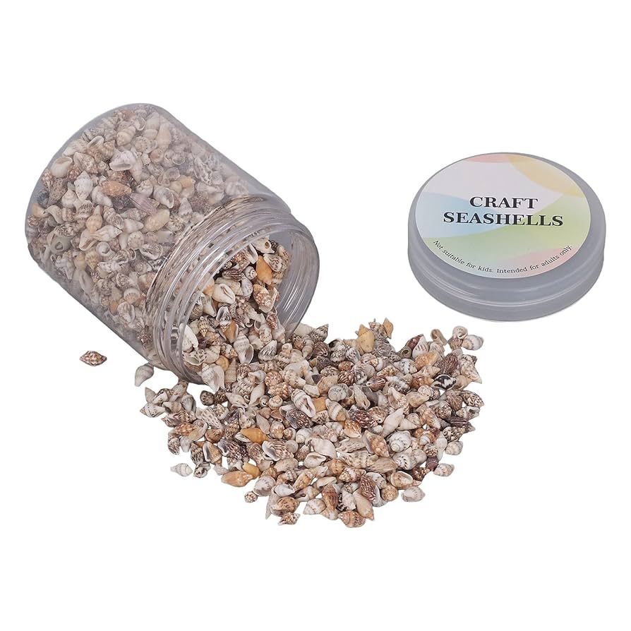 Amazon.co.jp: 小さな貝殻の1瓶、非多孔質渦巻貝巻き貝、DIY水槽