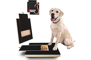 Dog Nail Scratch Board: The Solution for Healthy, Scratch-Free Paws