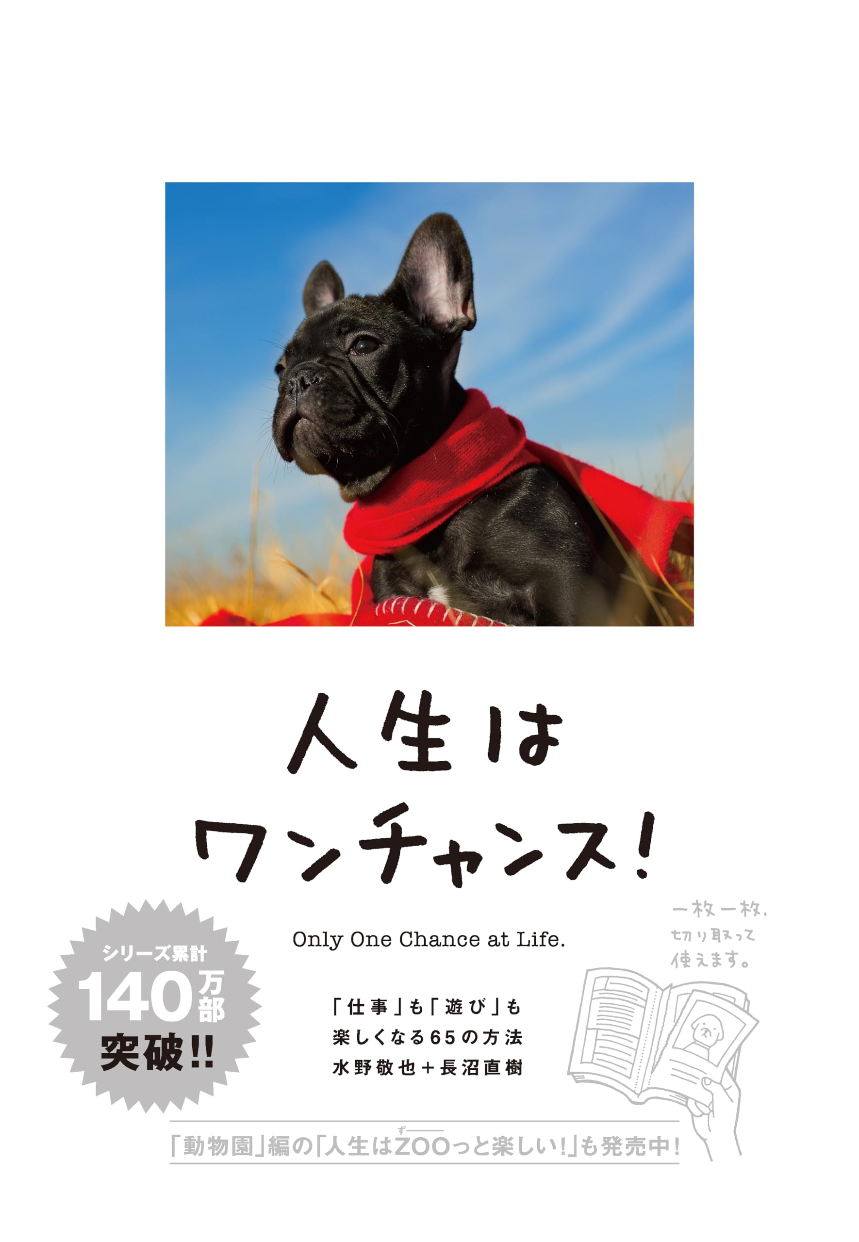 もっと犬に言いたいたくさんのこと : 君の「?」な行動に惑わされず、楽しむため… もっと犬に言いたい たくさんのこと-君の「?」な行動に惑わさ