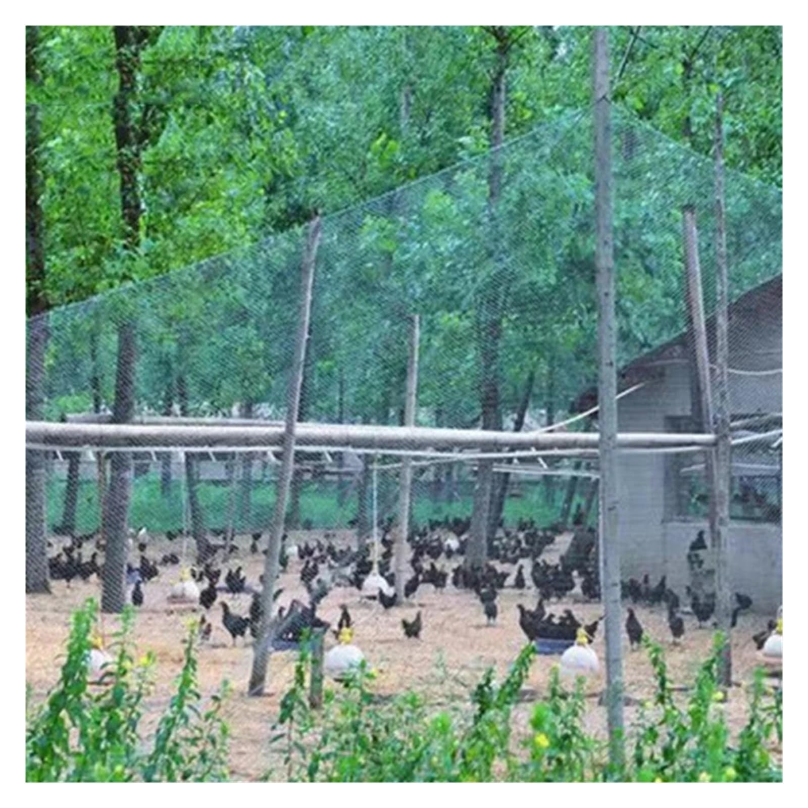 Red pesada para pájaros para protección de jardines y cultivos, 3 m x 5 m, 24 hebras, multicolor, anti pájaros, gatos, perros y ciervos, red para exteriores