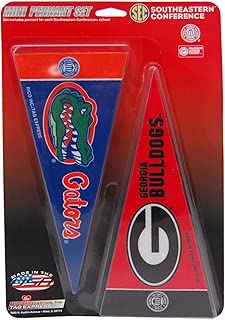 Rico Industries NCAA SEC PennantPennant Mini League Set, Team Colors, One Size - coolthings.us