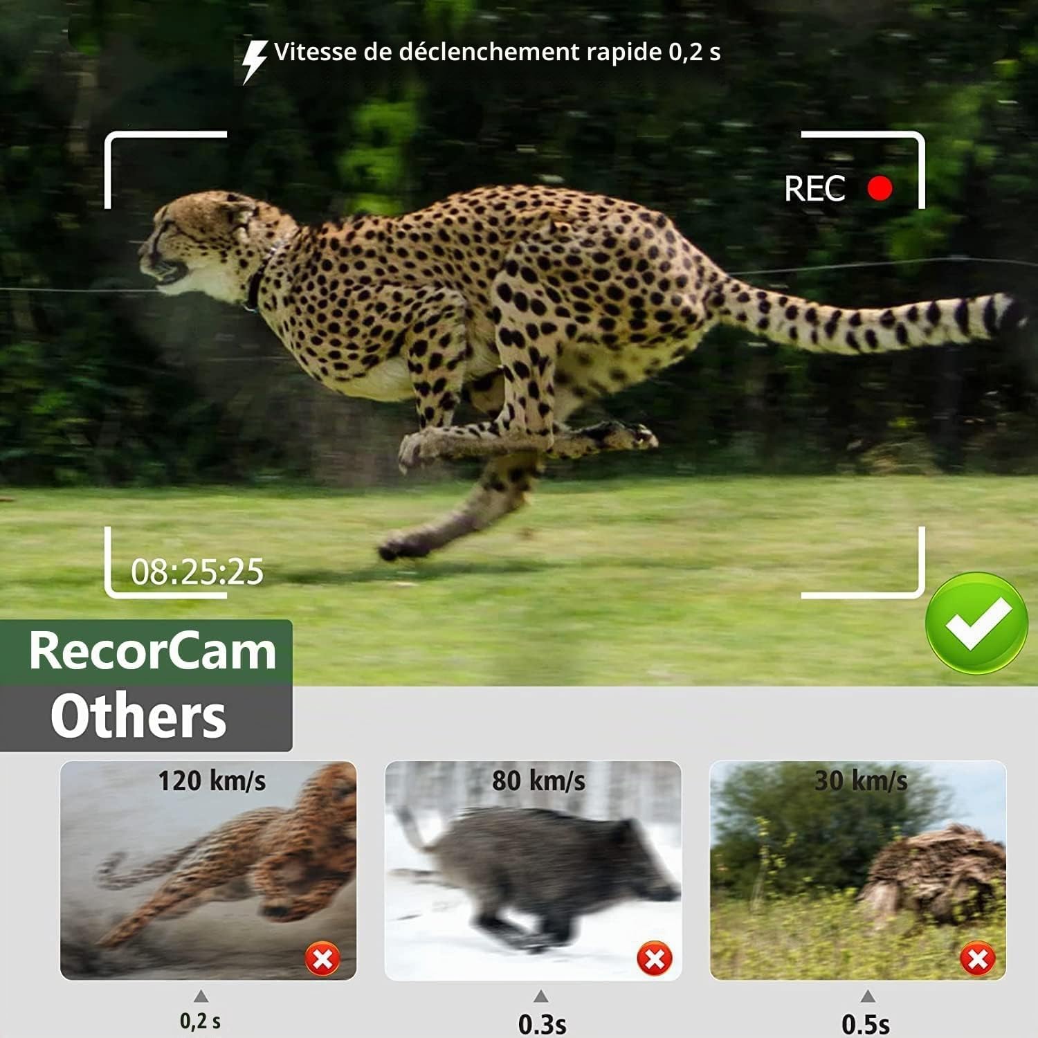 Caméra de Chasse WiFi Bluetooth App, 36MP 4K Camera Chasse avec Vision Nocturne Infrarouge, Vitesse de Déclenchement 0.2s, IP66 Étanche Piege Photographique, Carte Mémoire 32GB (WiFi812Pro)