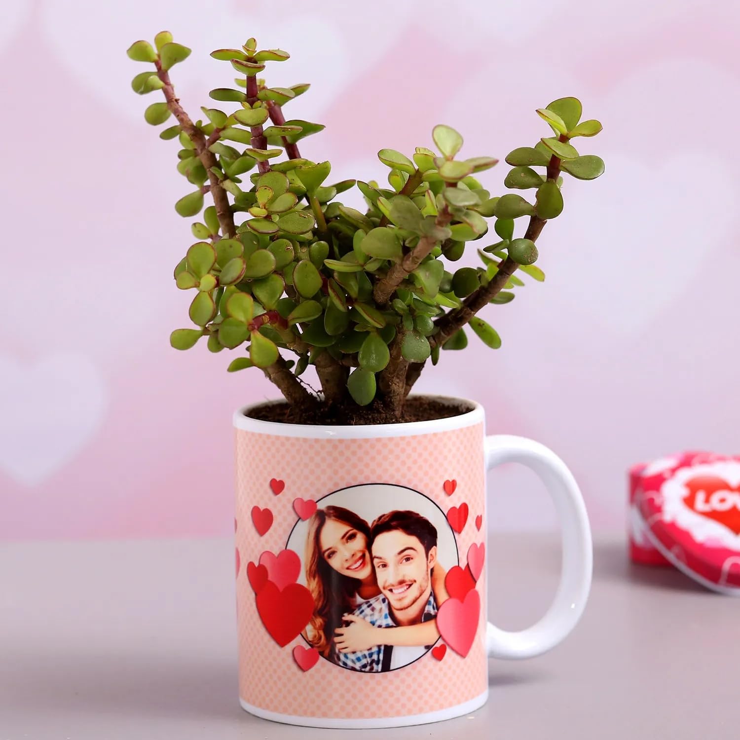FNP Jade Plant in Personalised Hearts Mug – Unique Evergreen Indoor Plant Gift for Loved Ones, Home & Office Décor-image-30