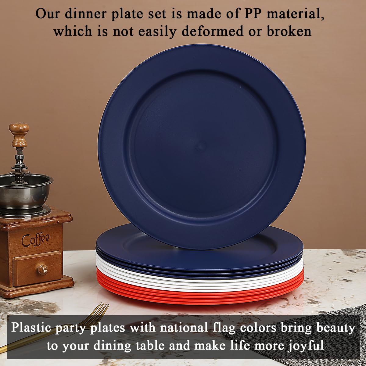 Berglander Platos de Plástico Reutilizables 12 Piezas 25 cm, Color FR, para Ensalada y Pasta, Fáciles de Transportar para Hogar, Jardín, Picnic, Camping