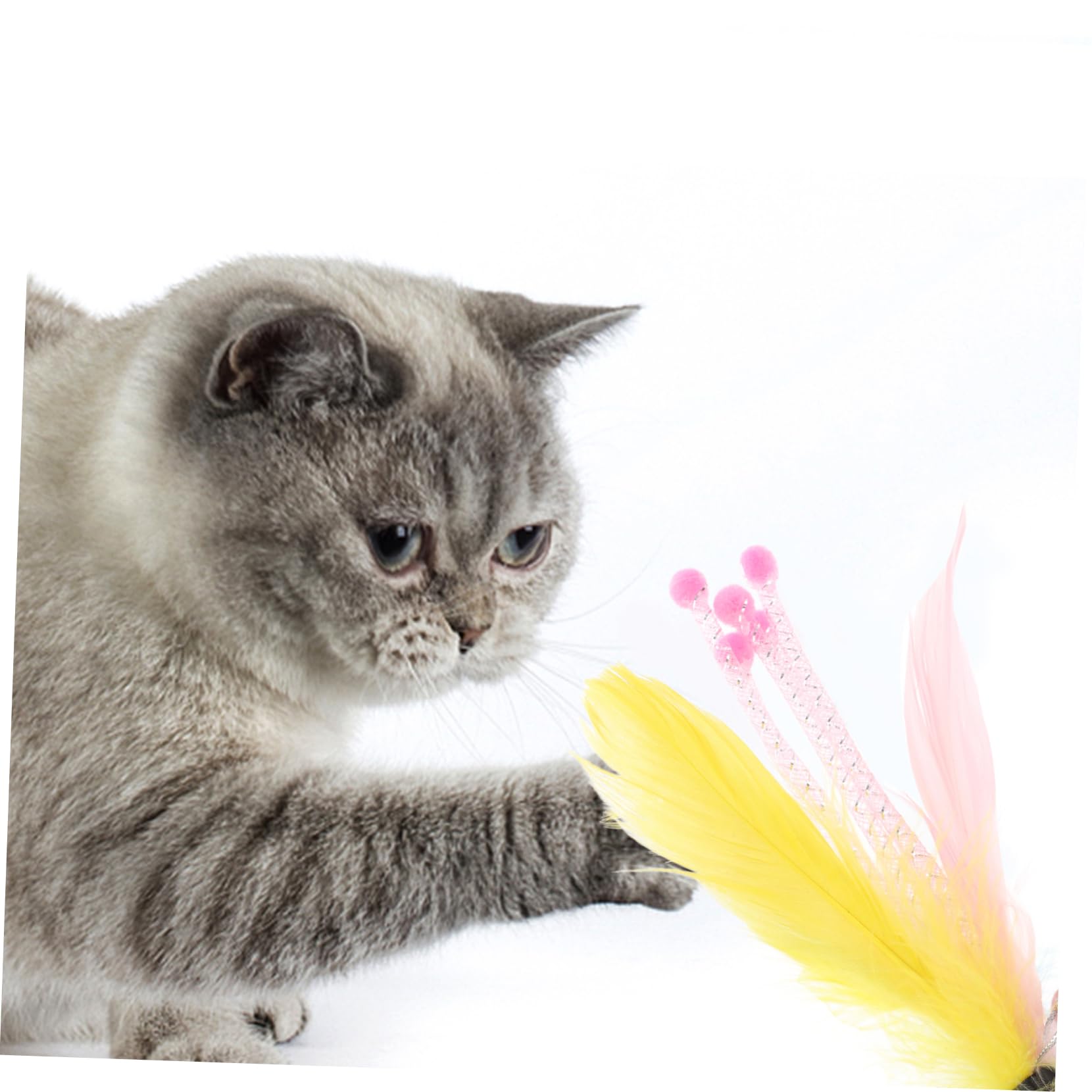 WOONEKY Lot De 5 Jouets Interactifs pour Chat 8 Pièces X 5