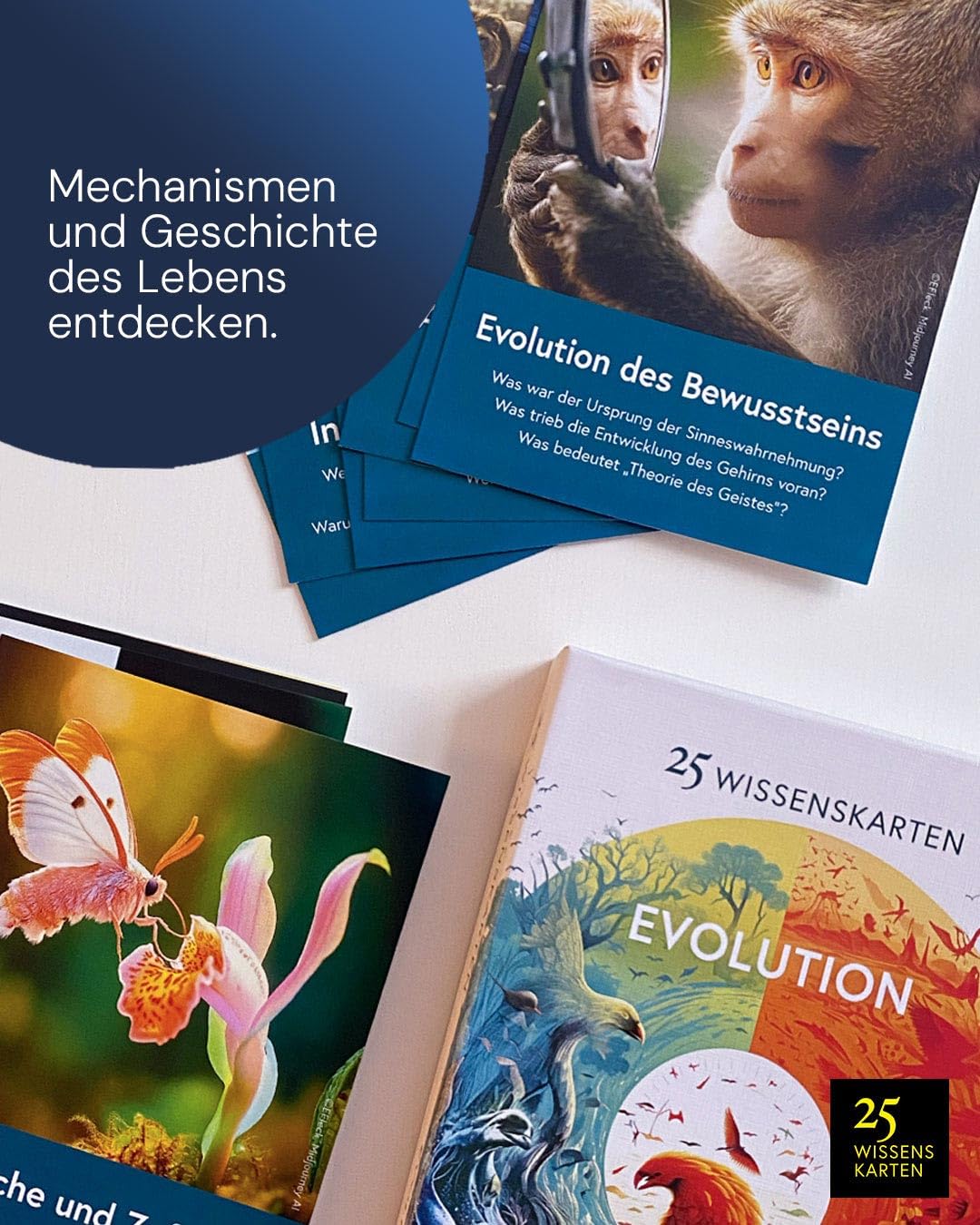 Die 25 Wissenskarten-Trilogie: Universum, Evolution, Philosophie: Der Wissens-Boost im Kartenformat (25 Wissenskarten: Die Wissens-Serie zum Sammeln)