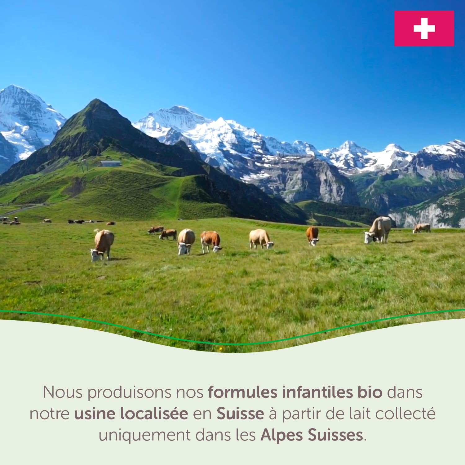 GUIGOZ BIO 1 Dès la naissance - Lait bébé 1er âge en poudre de 0 à 6 mois - Boîte de 800g