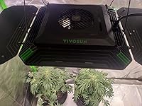 Review Image by Randall Johns Randall Johns