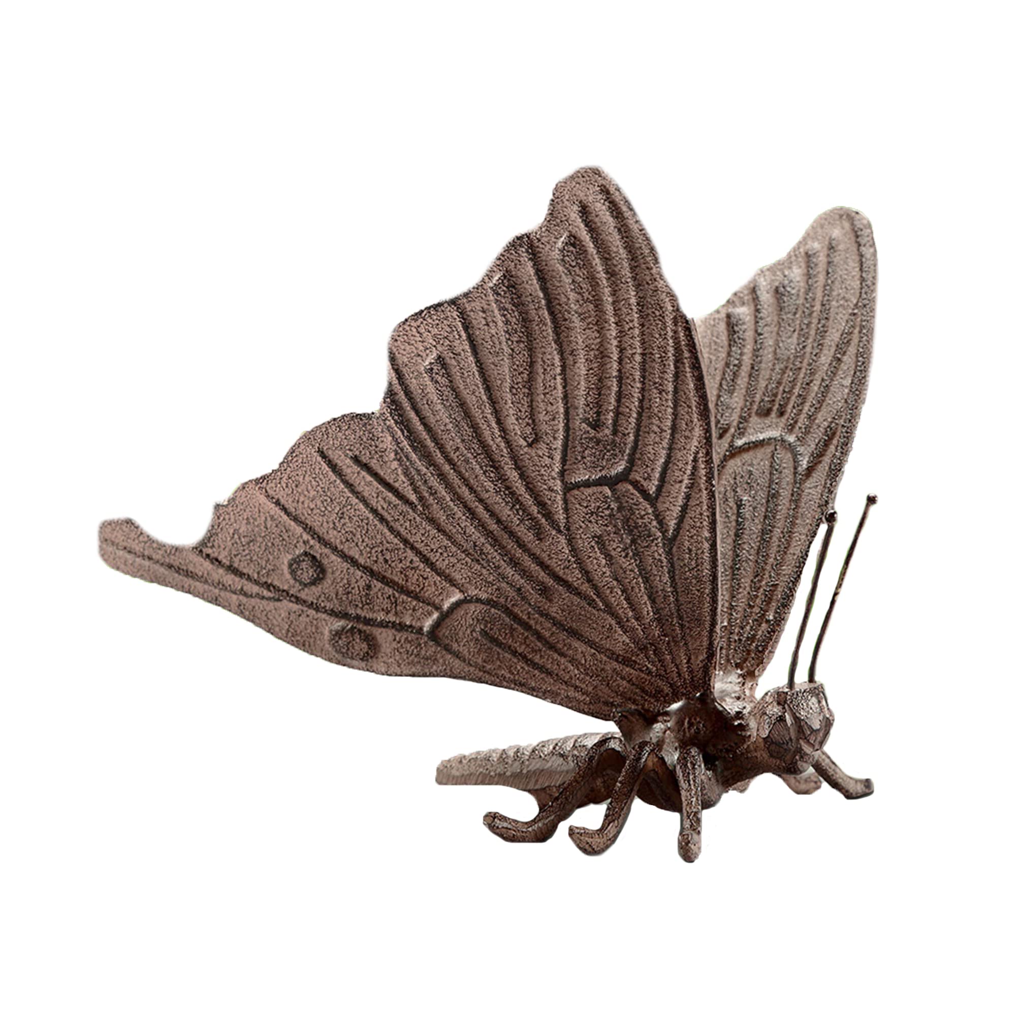 Amazon.com: SPI Home 53025 Weathered Brown Butterfly 6.5 x 7.5