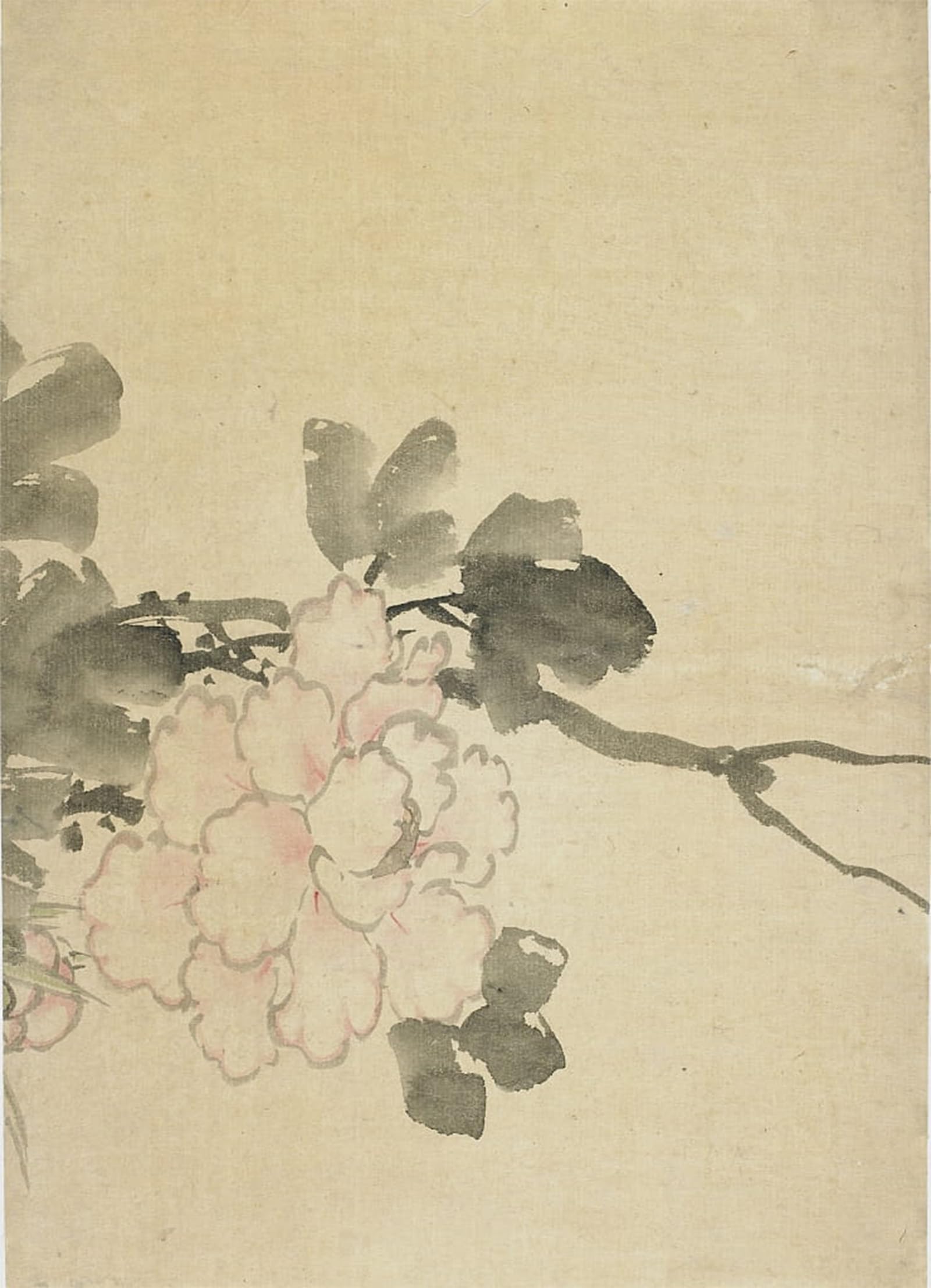 POSTERIIk Vintage Art Print Images Pictures Print Peony by Katsushika Hokusai Modern Colour Posters for Office Home Decor 60x90cm