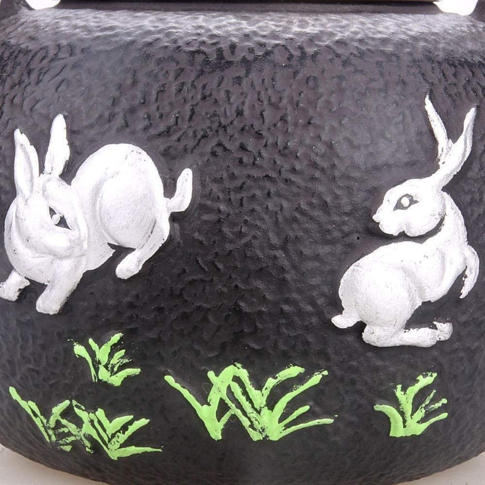 Theiere Fonte Théière Japonaise 47 Oz/1400 Ml Théière En Fonte Pots À Thé Jade Lapin Couleur Fer Pot Ancien Pot En Fer Grand Pot En Fer À Eau Bouillante Sans Revêtement Théière en Fonte Theiere Japona