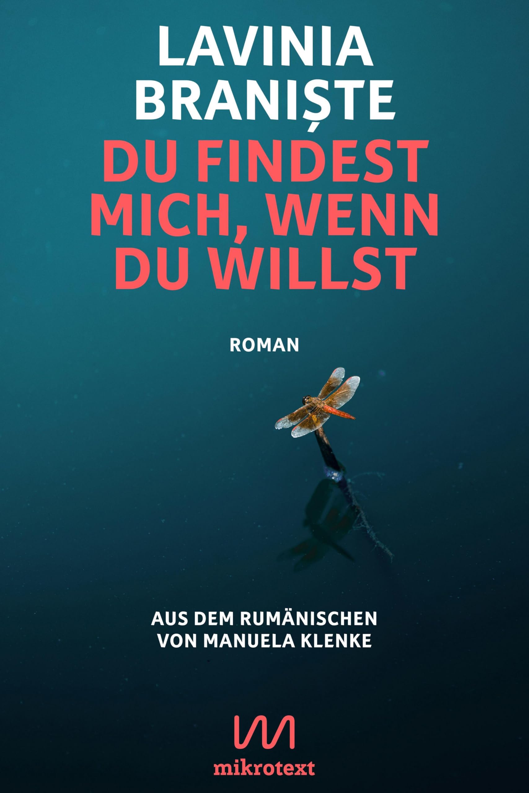 Du findest mich, wenn du willst: Roman