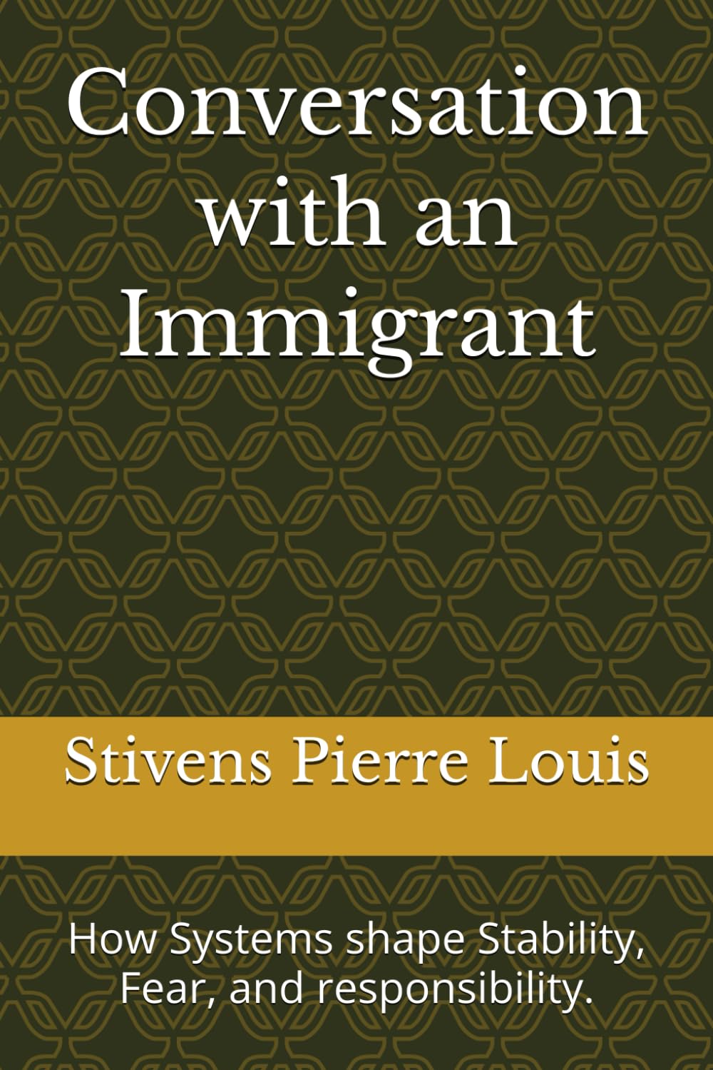 Conversation with an Immigrant: How Systems shape Stability, Fear, and responsibility.
