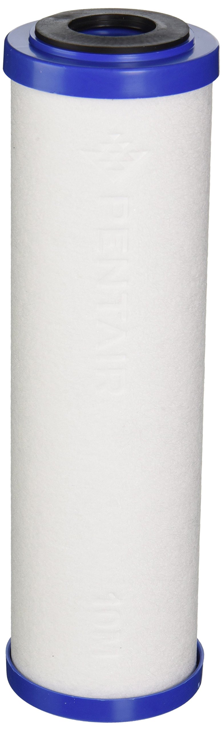 Pentek 655130-43 Sediment/Carbon Filter