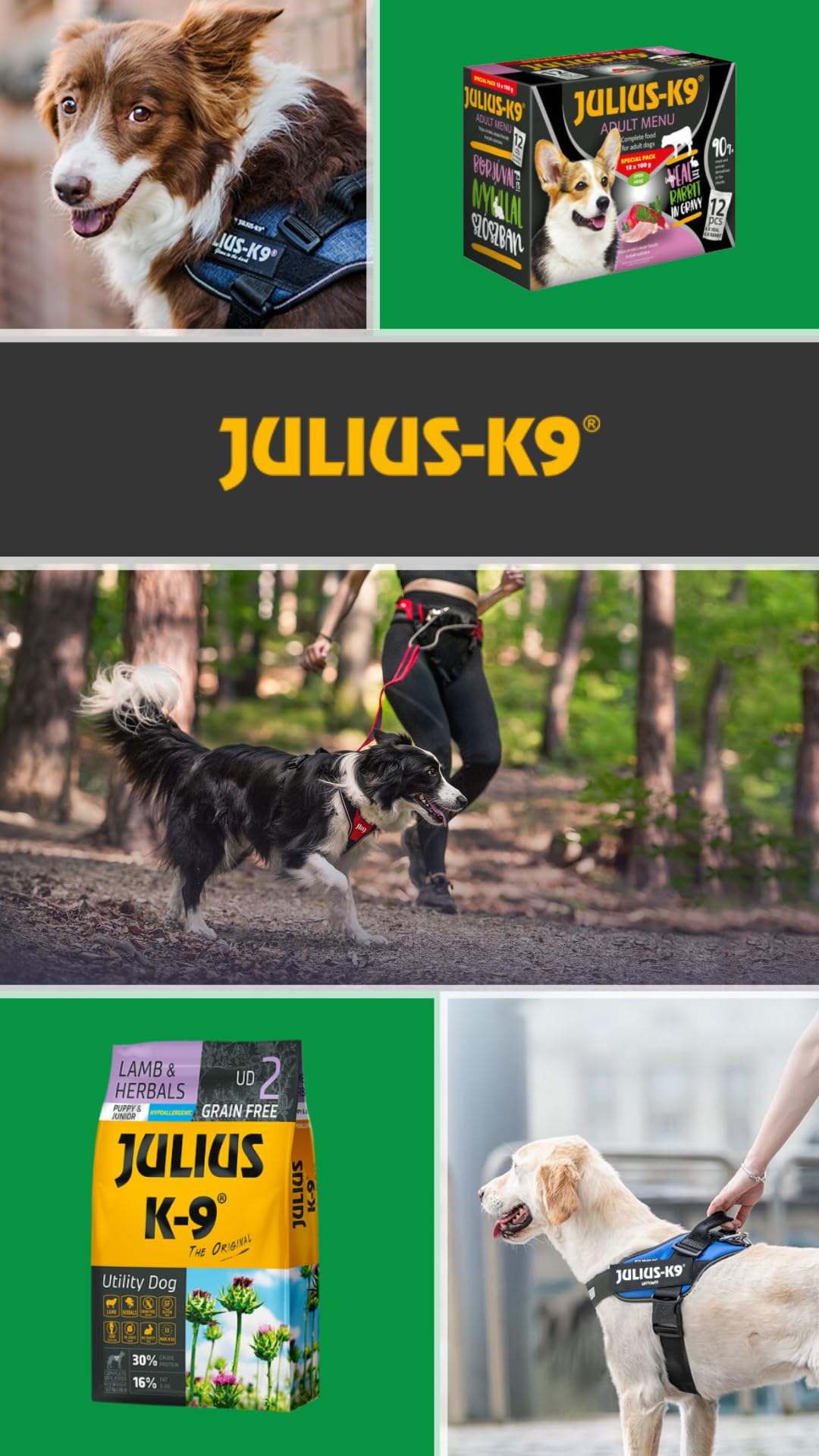 Julius-K9 Rabbit & Rice – Hipoalergiczne karmy dla psów z królikiem i ryżem – łatwo przyswajalna karma dla psów średnich – karma dla psów – 12 kg