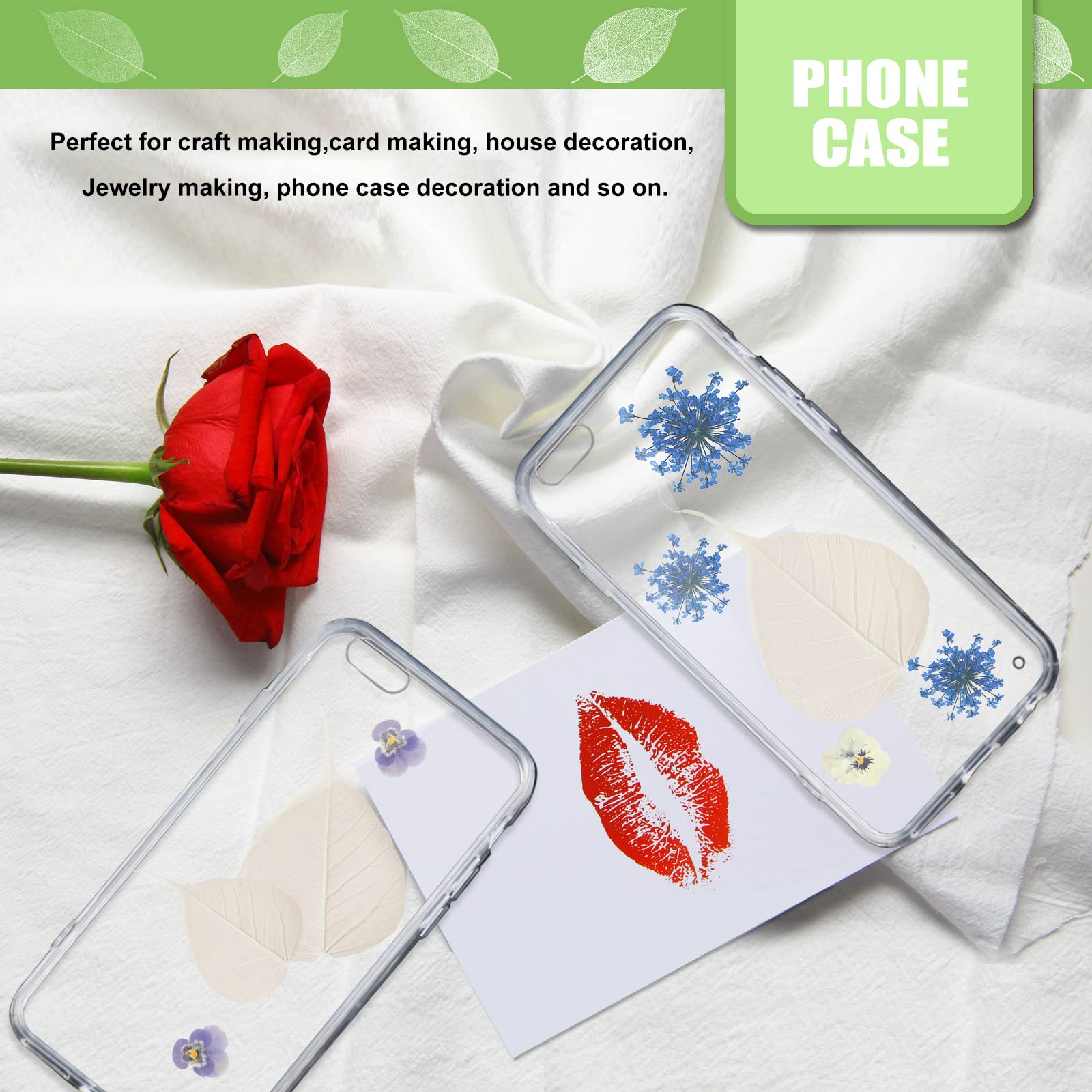 Getrocknete gepresste Skelettblätter für Harz, 42 Stück, weiß, natürlich, echt, trocken, BodhiSkelett-Blattadern für Harzkunst, DIY, Basteln, Karten, Scrapbooking, Handyhülle, Hochzeitsdekoration