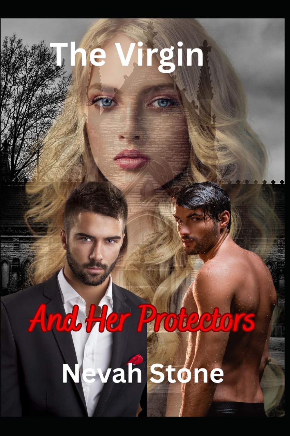 The Virgin and Her Protectors: A Why Choose Romantic Novella (Twice as Naughty)