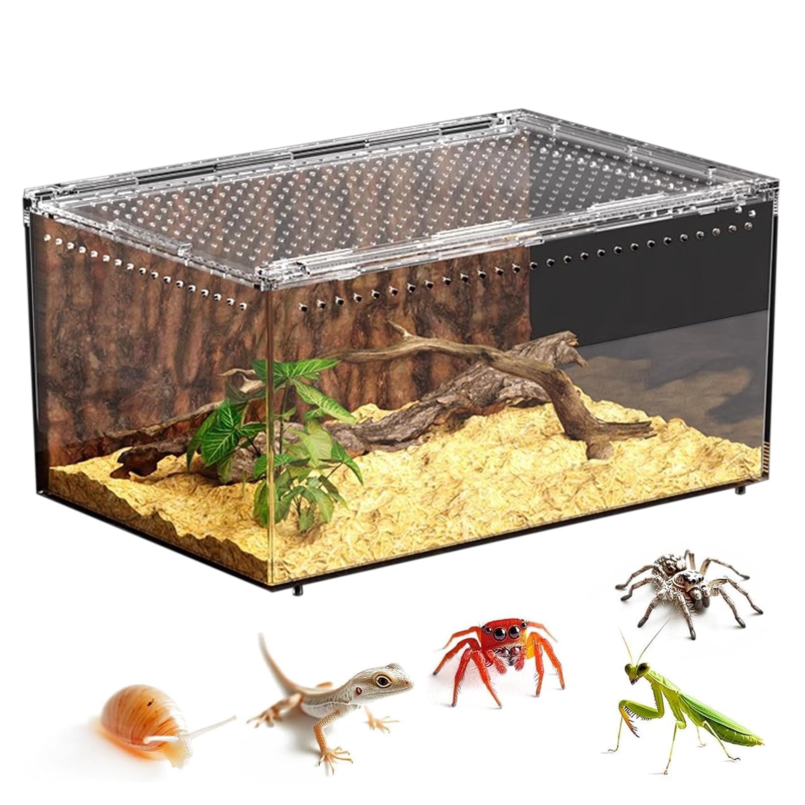 Qukoielly Spider Enclosure,Acrylic Reptile Enclosure Tank - Gecko Terrarium | for Gecko Snake Chameleon Tortoise