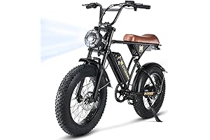 CycRun Electric Bikes For Adults-Built for Adventure