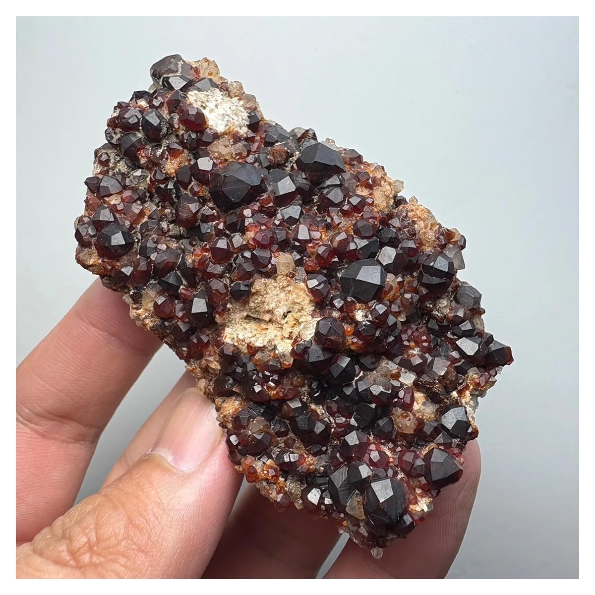 Granate y Minerales de Cuarzo LQYXGS un Regalo Natural Singular