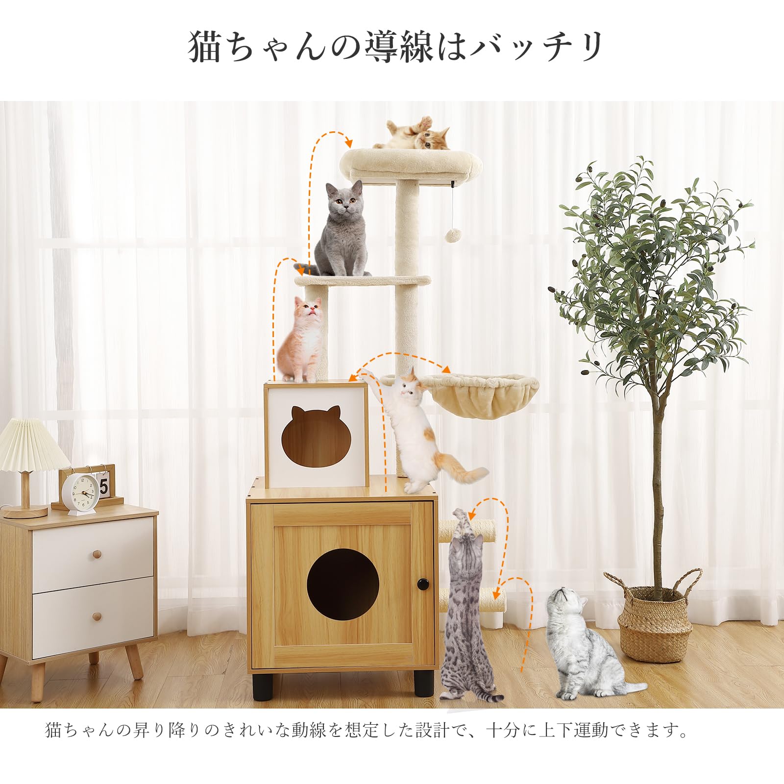 Amazon | ベラクシー(Beraxy) ベラクシー(Beraxy) キャットタワー 木製