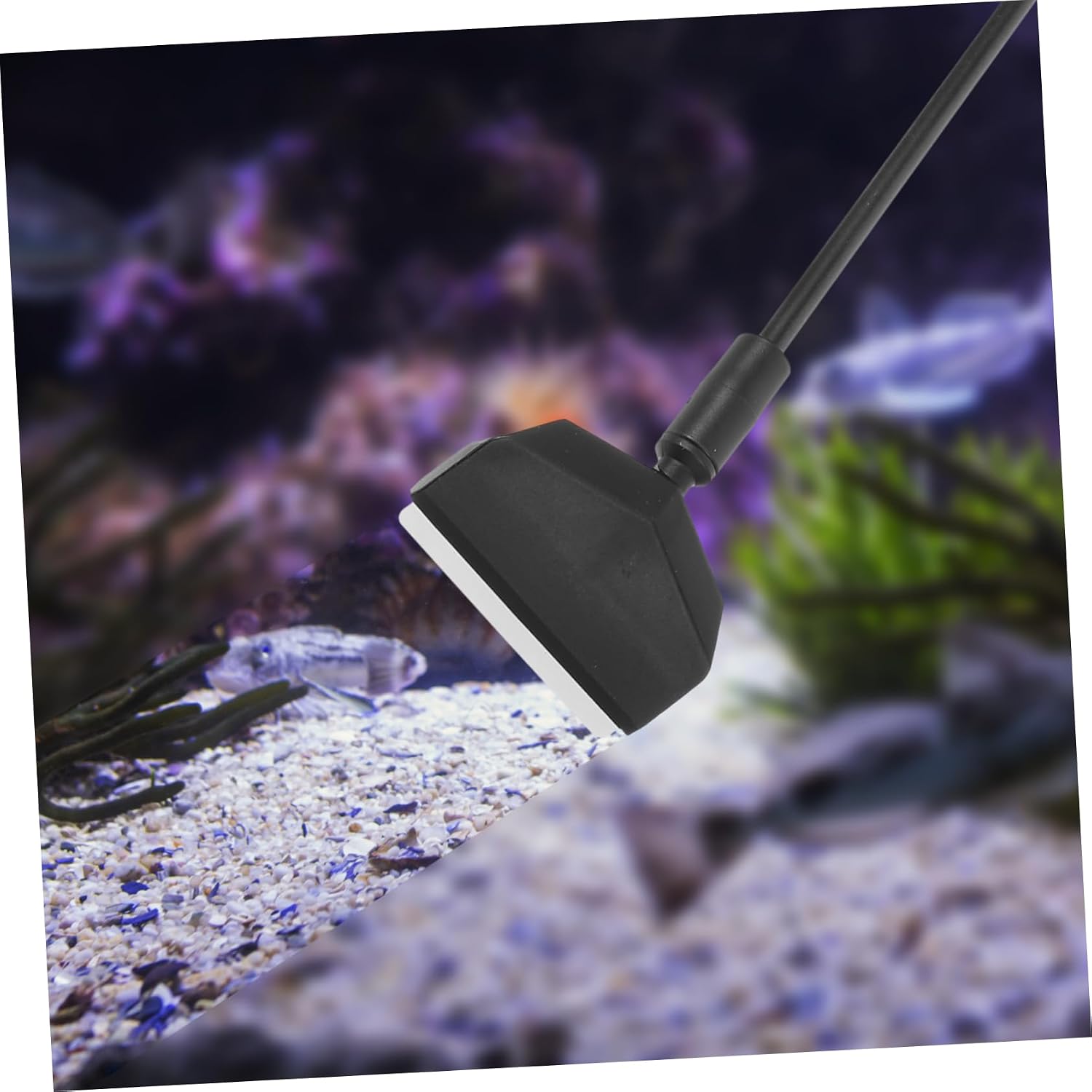 BESPORTBLE 1set Aquarium Cleaning Kit Scraper Brush for Fish Tanks and Flexible Design for Efficient Cleaning of Corners and Accessories Essential Aquarium Maintenance Tool