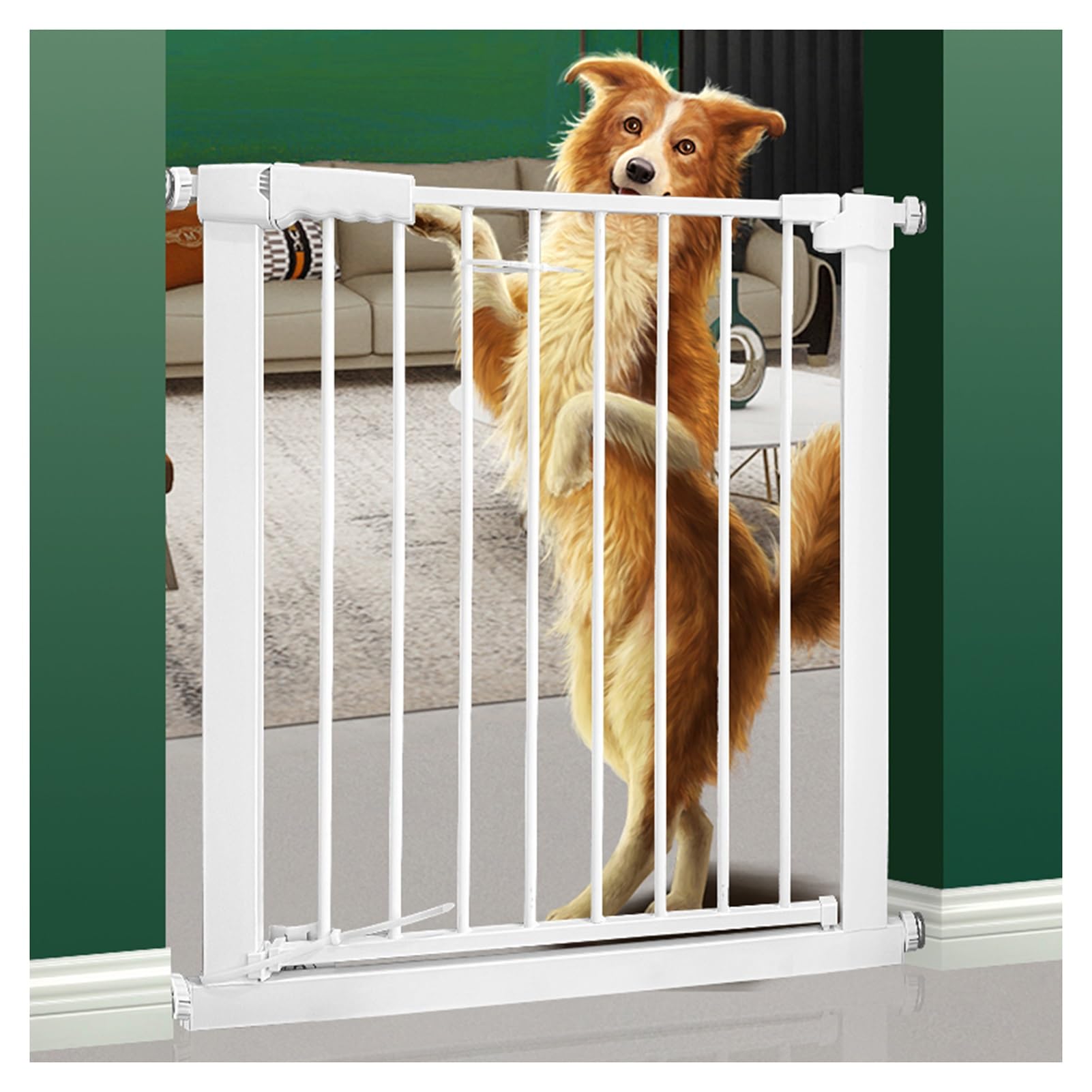 Barrière de sécurité enfant et animaux | Largeur réglable 63-87 cm sans vis