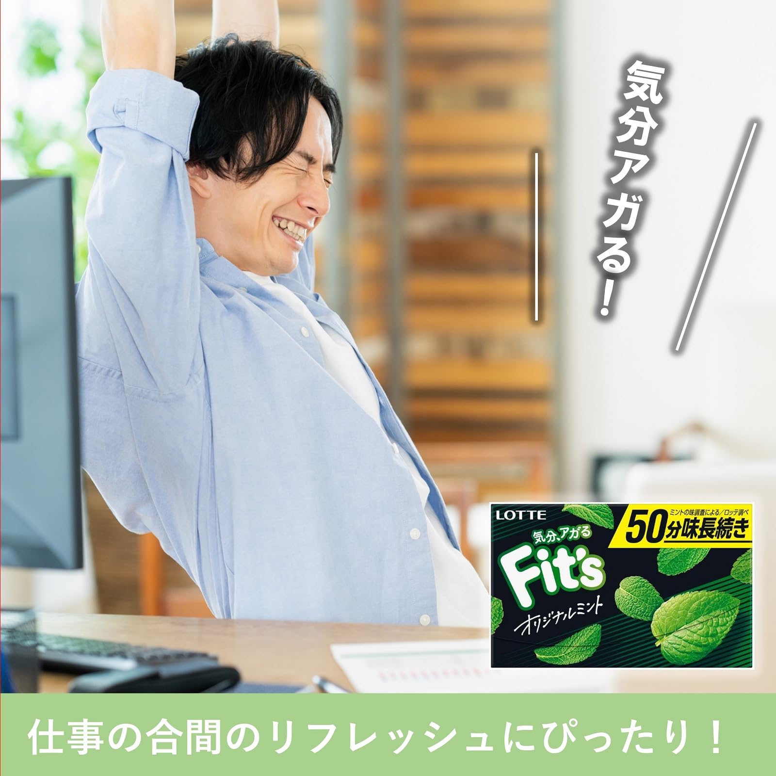 Amazon.co.jp: ロッテ フィッツ(オリジナルミント) 12枚 ×10個 : 食品