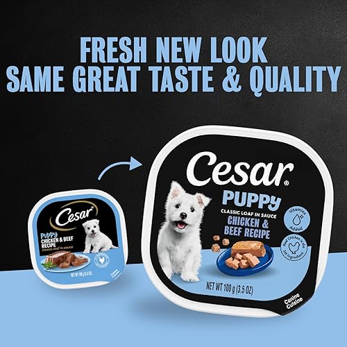 Miniatura 2 de CESAR CLASSICS - Juego de 24 moldes para pan en salsa gourmet para perros