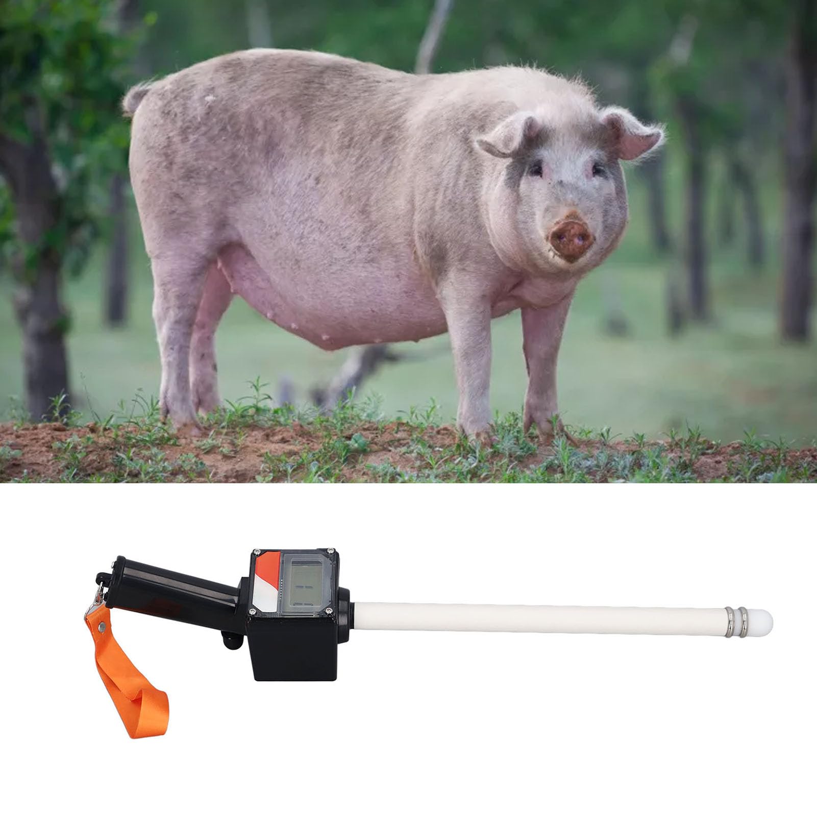 Pilipane Detector de ovulación de Cerdo visualización Digital Sow Sow ovulación probador de no destructivo sonda de Prueba de Prueba de Veterano para granjeros Veterinarios plástico