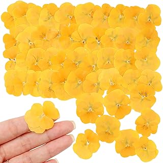 50Pcs Real Dried Pressed Pansy Flowers for Resin Molds, Mixed Dry Flowers for Resin Jewelry and Candles Making, Scrapbooking Crafts, DIY Soap, Wedding Decoration and Nails Decor (Yellow)