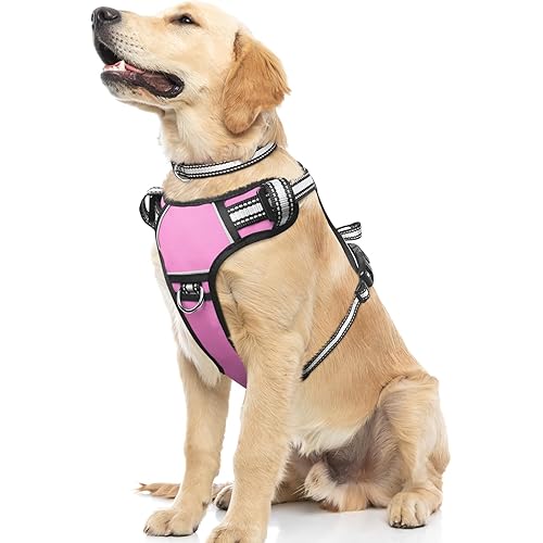 WINSEE Dog Harness No Pull, Pet Harnesses with Dog Collar, Adjustable Reflective Oxford Outdoor Vest, Front/Back Leash Clips for Small, Medium, Large, Extra Large Dogs, Easy Control Handle for Walking