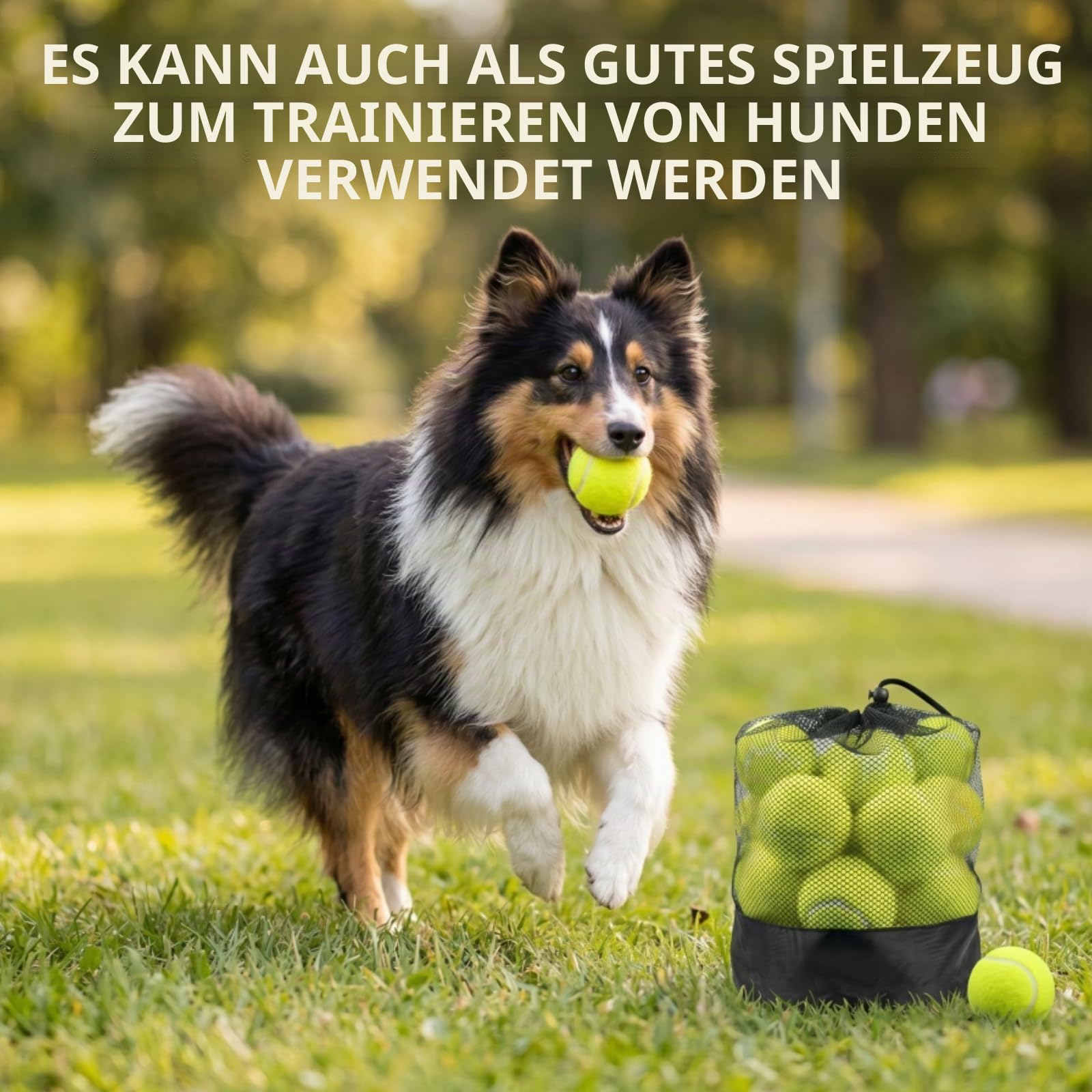 Tebery 20 Pack Green Advanced Training Tennis Balls Beginner Practice Ball, Pet Dog Playing Balls, Come with Mesh Bag for Easy Transport