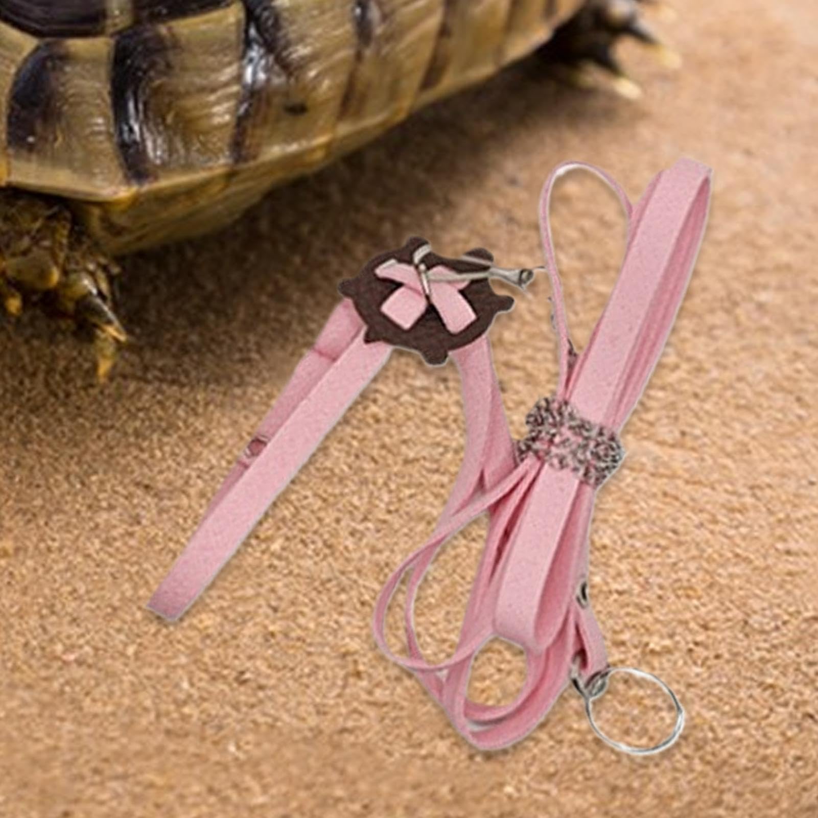 Laisses de Coffre de Tortue, Harnais d'extérieur en Cuir PU - Collier de Poitrine Souple