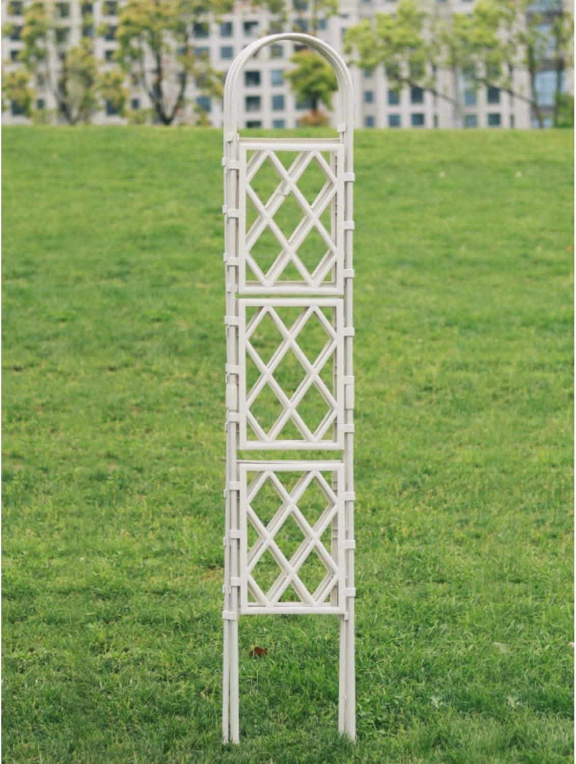 Garden Wall Trellis for Climbing Clematis, Support for