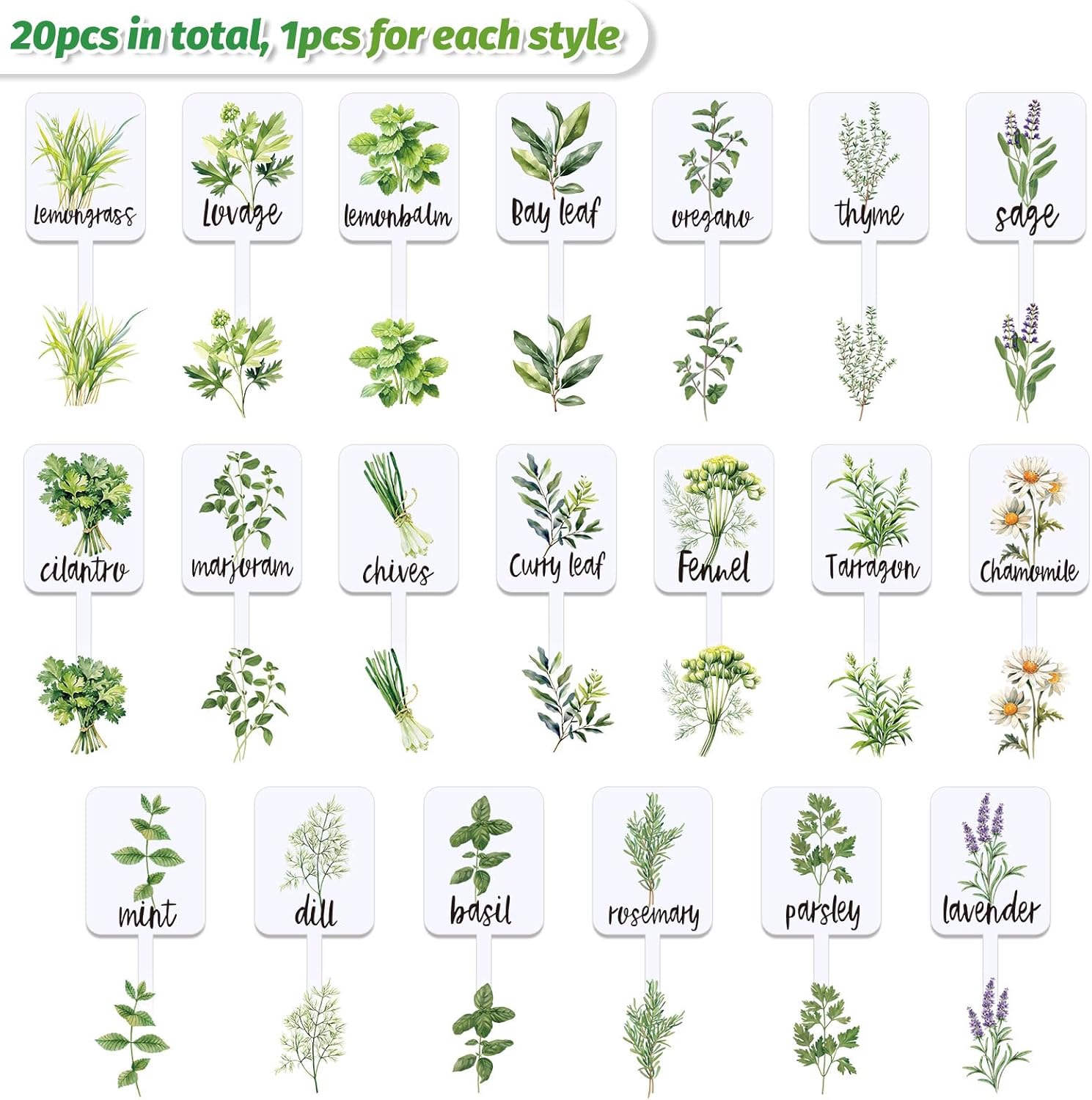 20Pcs Acrylic Plant Label Signs 20 Styles Garden Herb Markers Plant Stake Tags White Waterproof Tags with Herb Names for Nursery Indoor Outdoor Garden Decor - Image 3