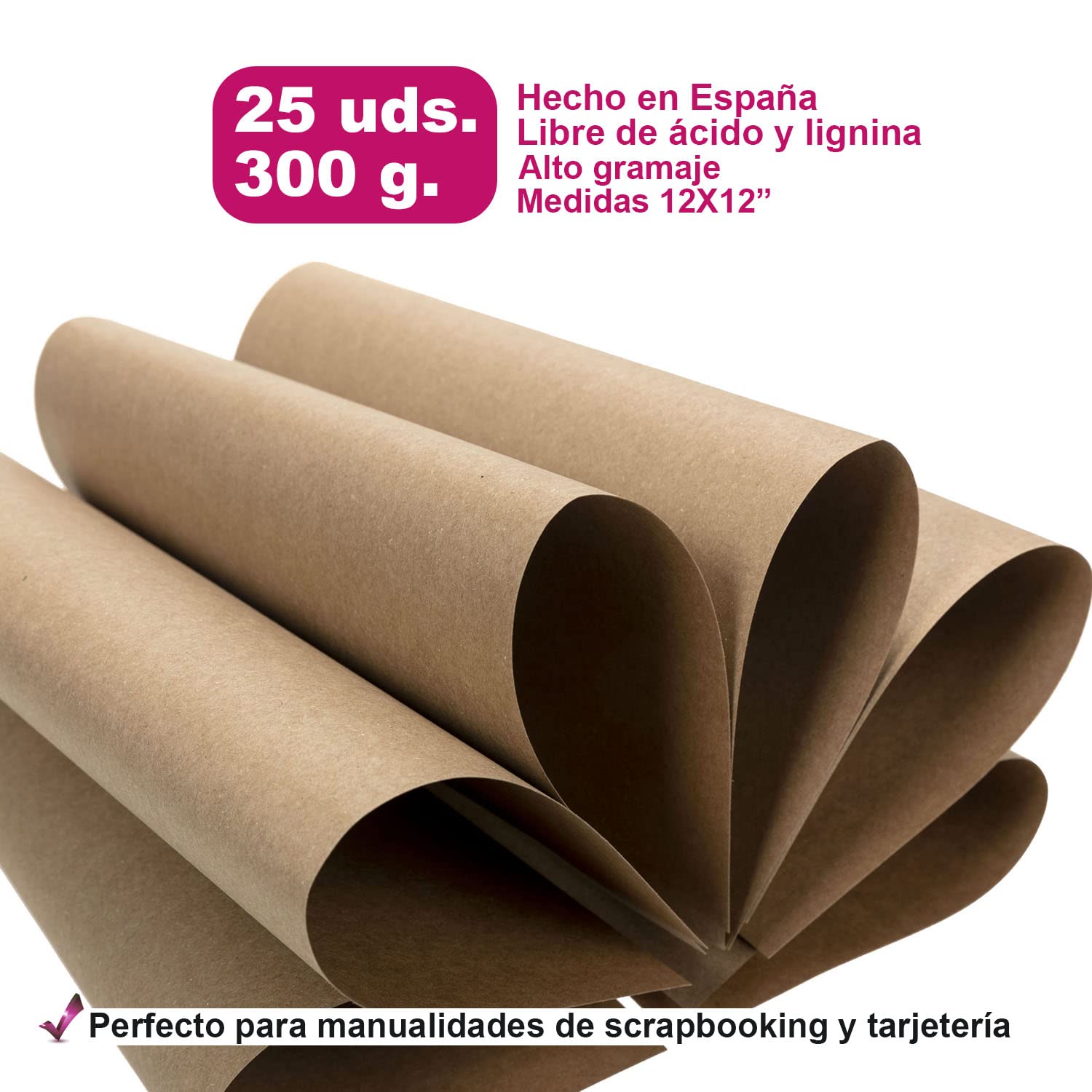 Anita y Su Mundo Basicos Scrap Lot de 25 cartons, Gris 12 x