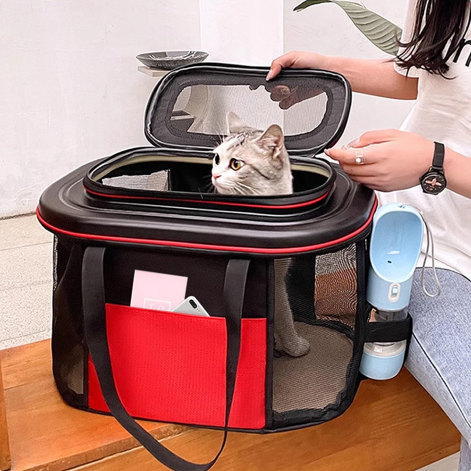 Transportin Gato Mochila con Ruedas, Mochila de Viaje para Mascotas, Desmontable, Mochila Plegable para Perros Pequeños, Gatos, Conejos(Green)