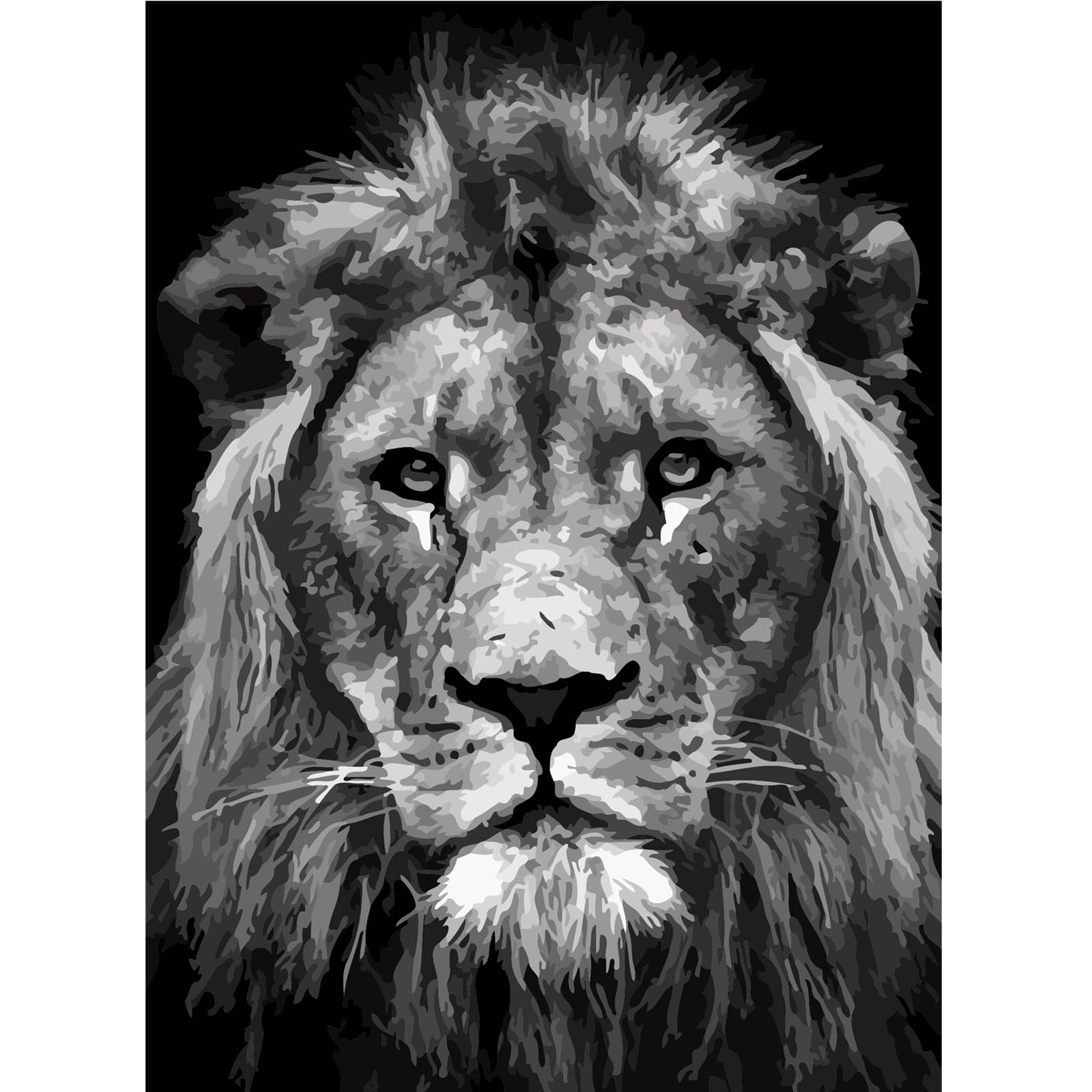 Lion Black and White # 4 DIY Paint by Numbers for Adults Beginner, Adult Paint by Number Kits 16" x 20" / 40 x 50cm, Drawing Paintwork Paintbrushes Craft