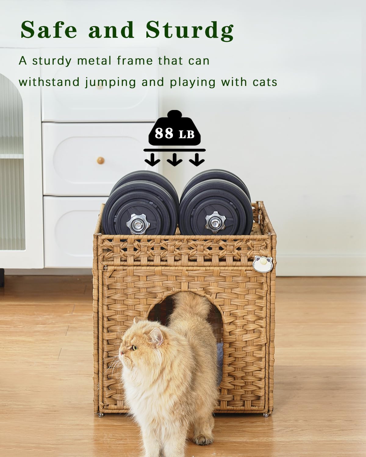 https://m.media-amazon.com/images/I/71Z+GYsDfyL.jpg