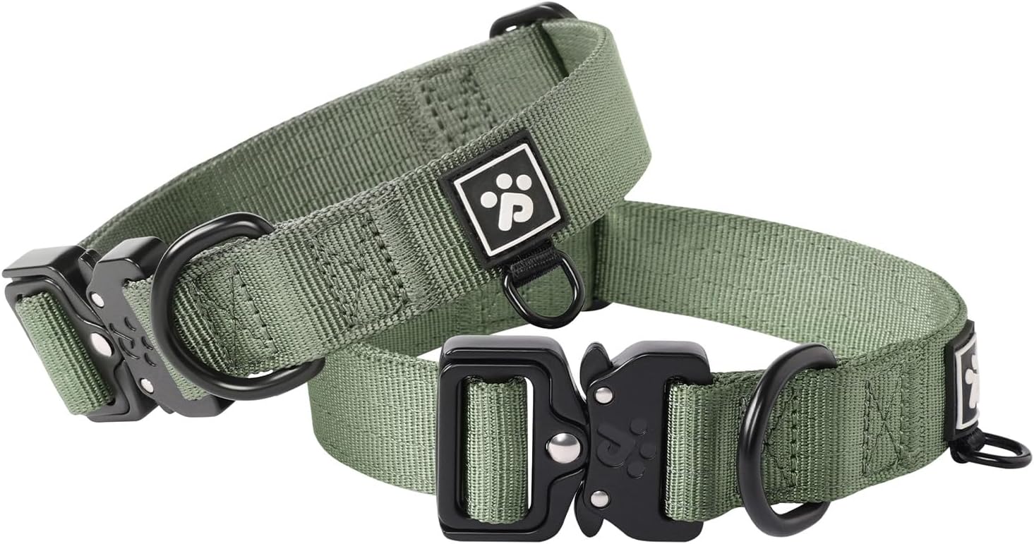 PawsPassion Heavy Duty Dog Collar for Medium Dogs