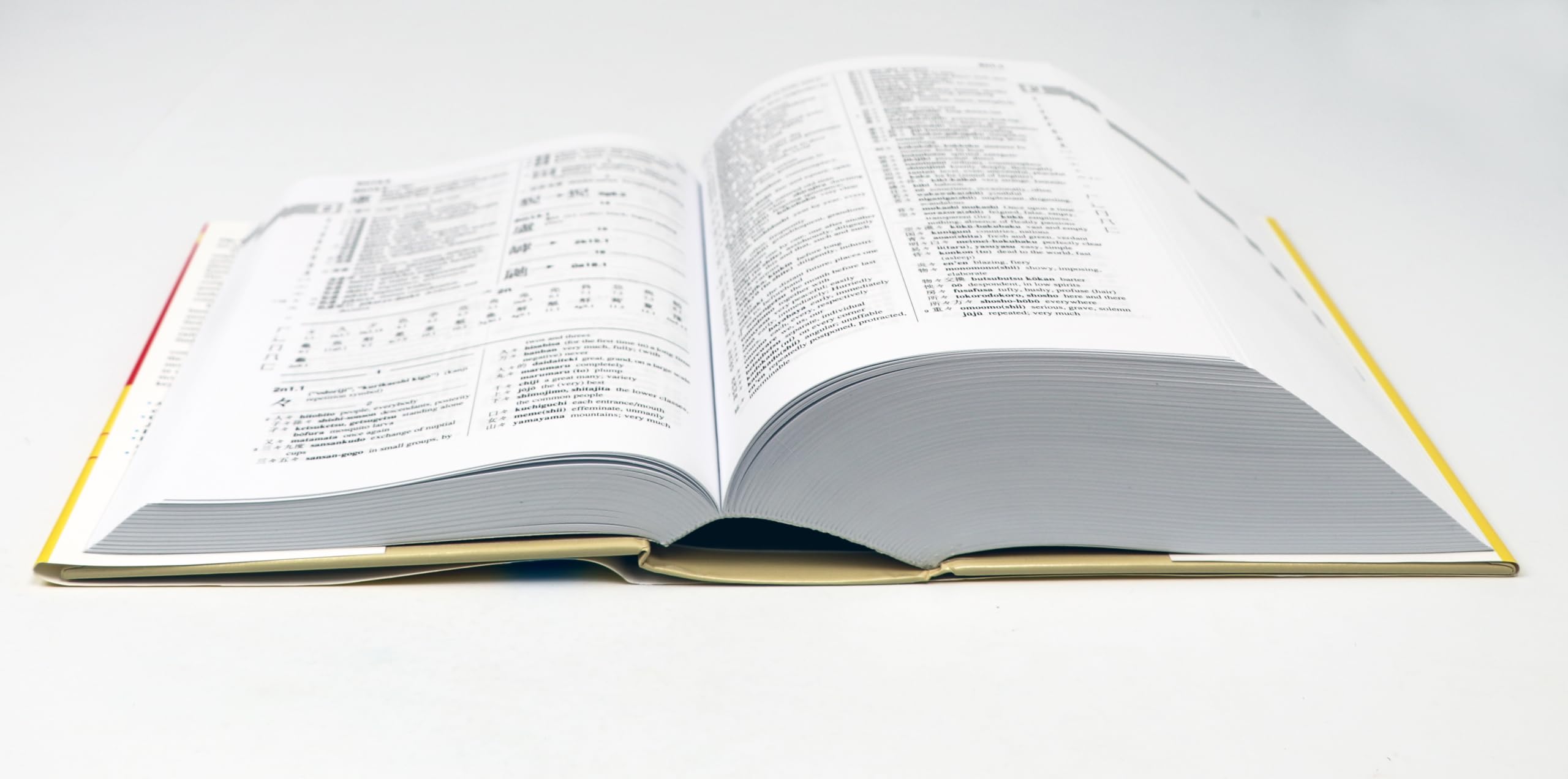 The Kanji Dictionary