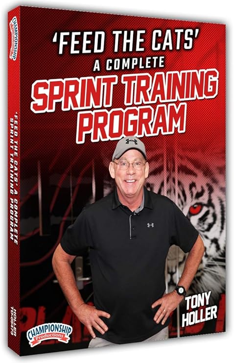 feed the cats training