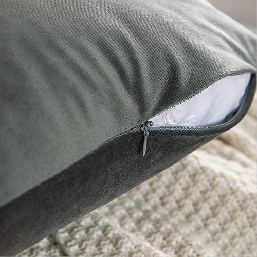 Miniatura 3 de JUEYINGBAILI - Fundas de almohada de terciopelo decorativo, 2 unidades, ultrasuaves, en un solo color, cojín cuadrado para sofá, silla, sillón,