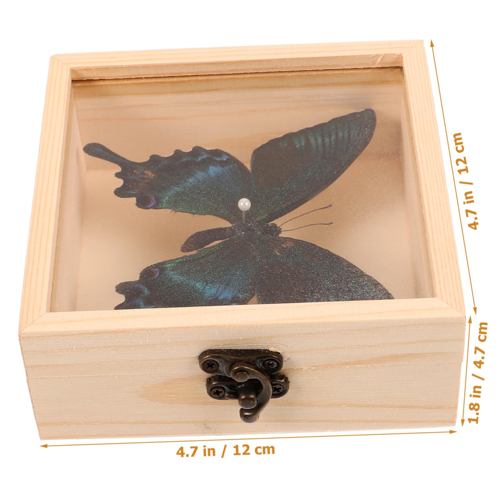 SOLUSTRE Butterfly Specimen Storage Box Wall Hanging Decor Wood Plastic Frame Specimen Display for Home Office