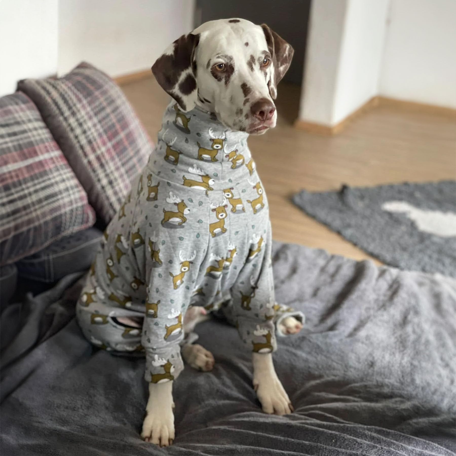EDEL&SCHNELL Pull pour chien gris en coton douillet avec motif de cerf - Pyjama pour chien avec fermeture éclair - Body pour lévrier - Taille 40-45