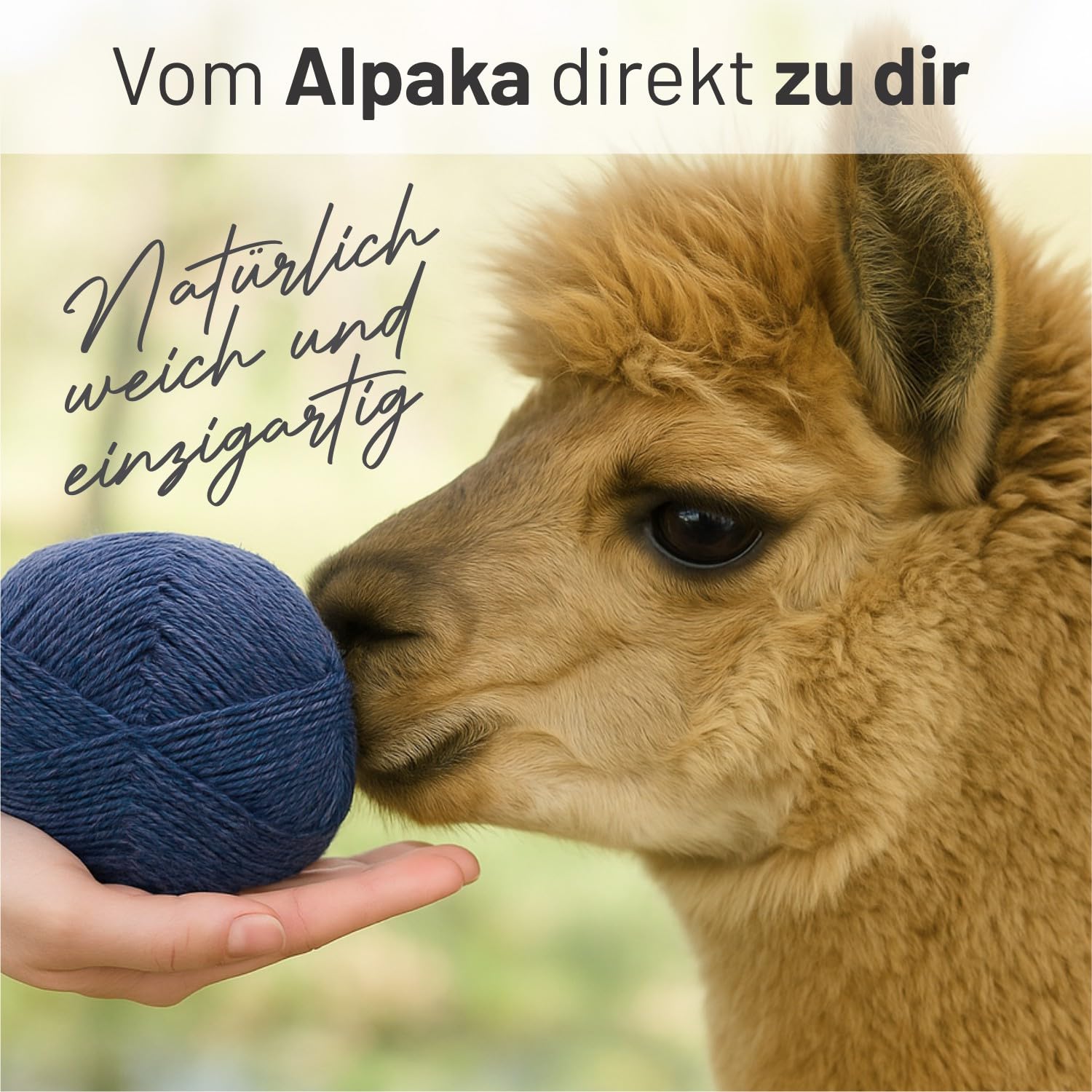 HANSA-FARM |alpacare 75% waschbare Baby Alpaka Socks 224g Set (2 x 112g) Sockenwolle kratzfreie Wolle zum Stricken & Häkeln - CF245 Jeansblau