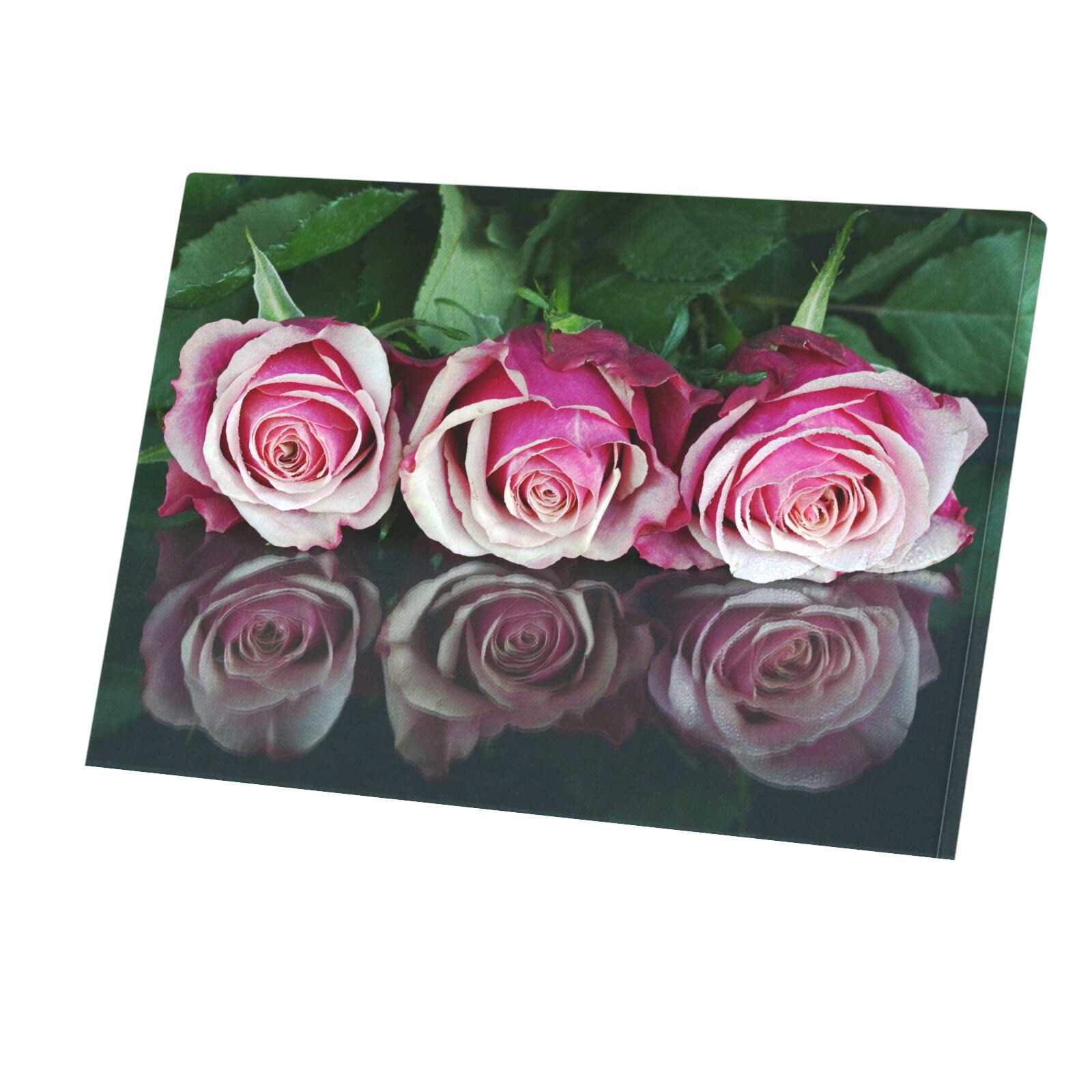 Toile imprimée roses alignées affiche fleurs tableau romantique - 4