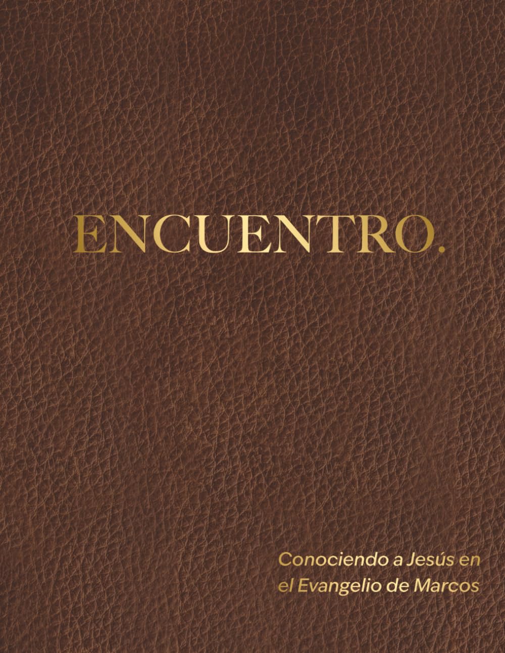 Encuentro: Conociendo a Jesús en el Evangelio de Marcos