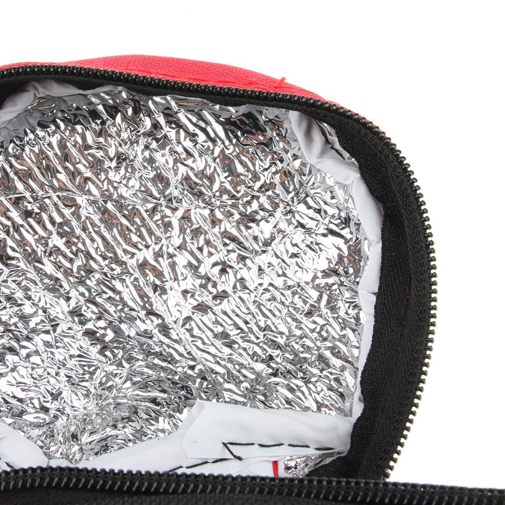 Borsa termica impermeabile da 2 l, custodia per borraccia in tessuto Oxford, per acqua, bevande, bottiglie, pranzo, con tracolla regolabile AOD (rosso)